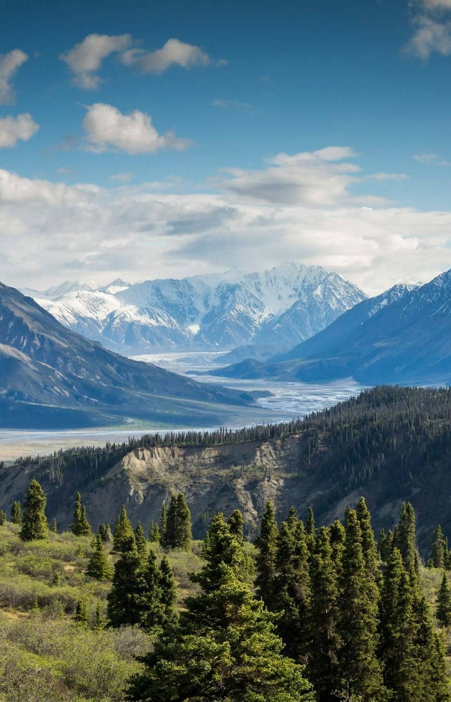 New Zealand visa UAE