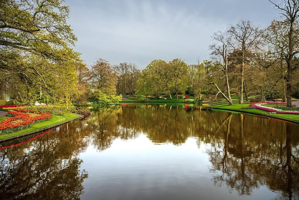 Keukenhof Gardens & Spring Tulip Fields, Netherlands visa UAE